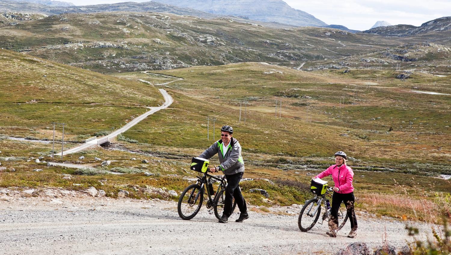 eldre par dytter syklene sine og Gaustatoppen i bakgrunn