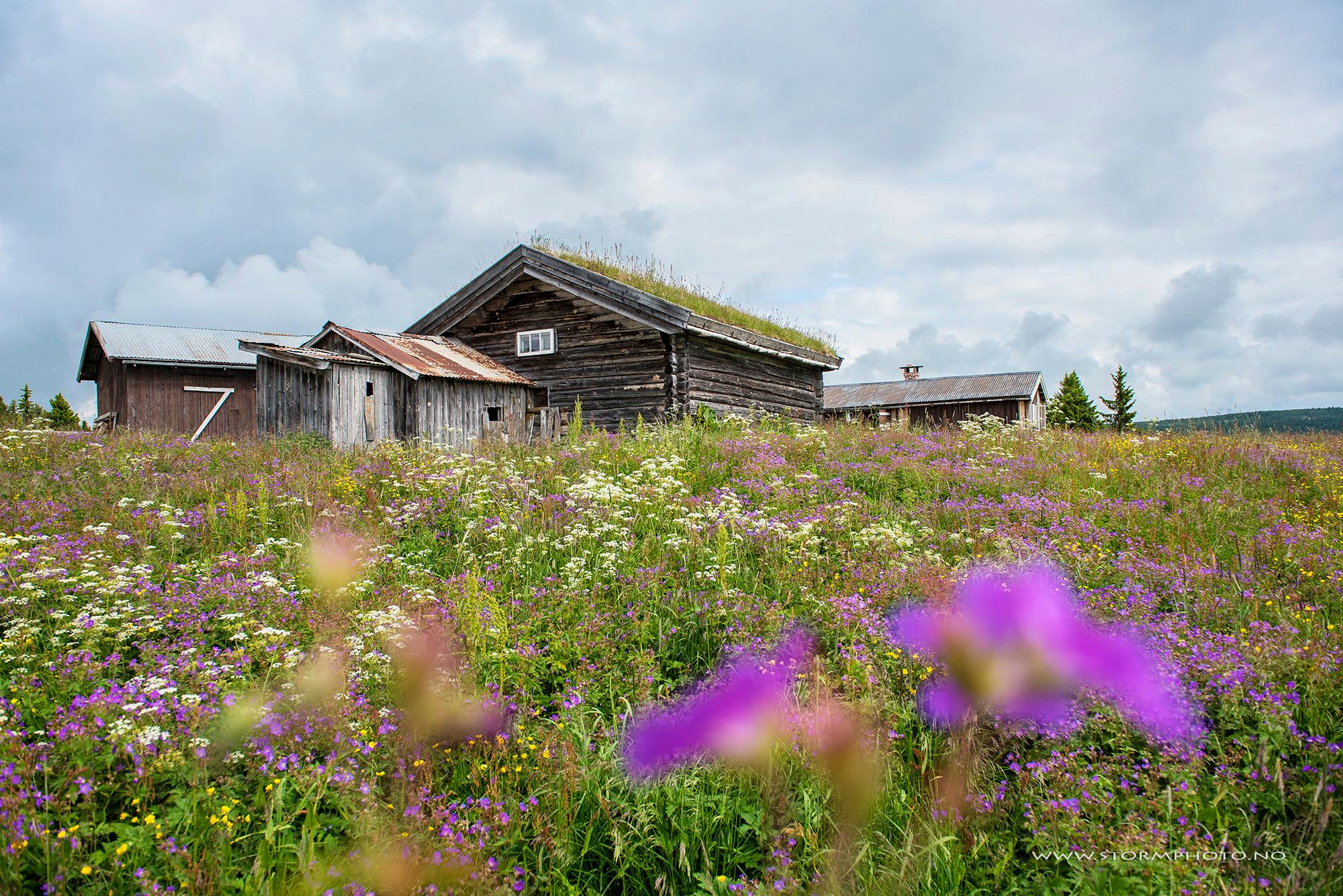Seterlunsj på Lykkjesetra | Venabu fjellhotell