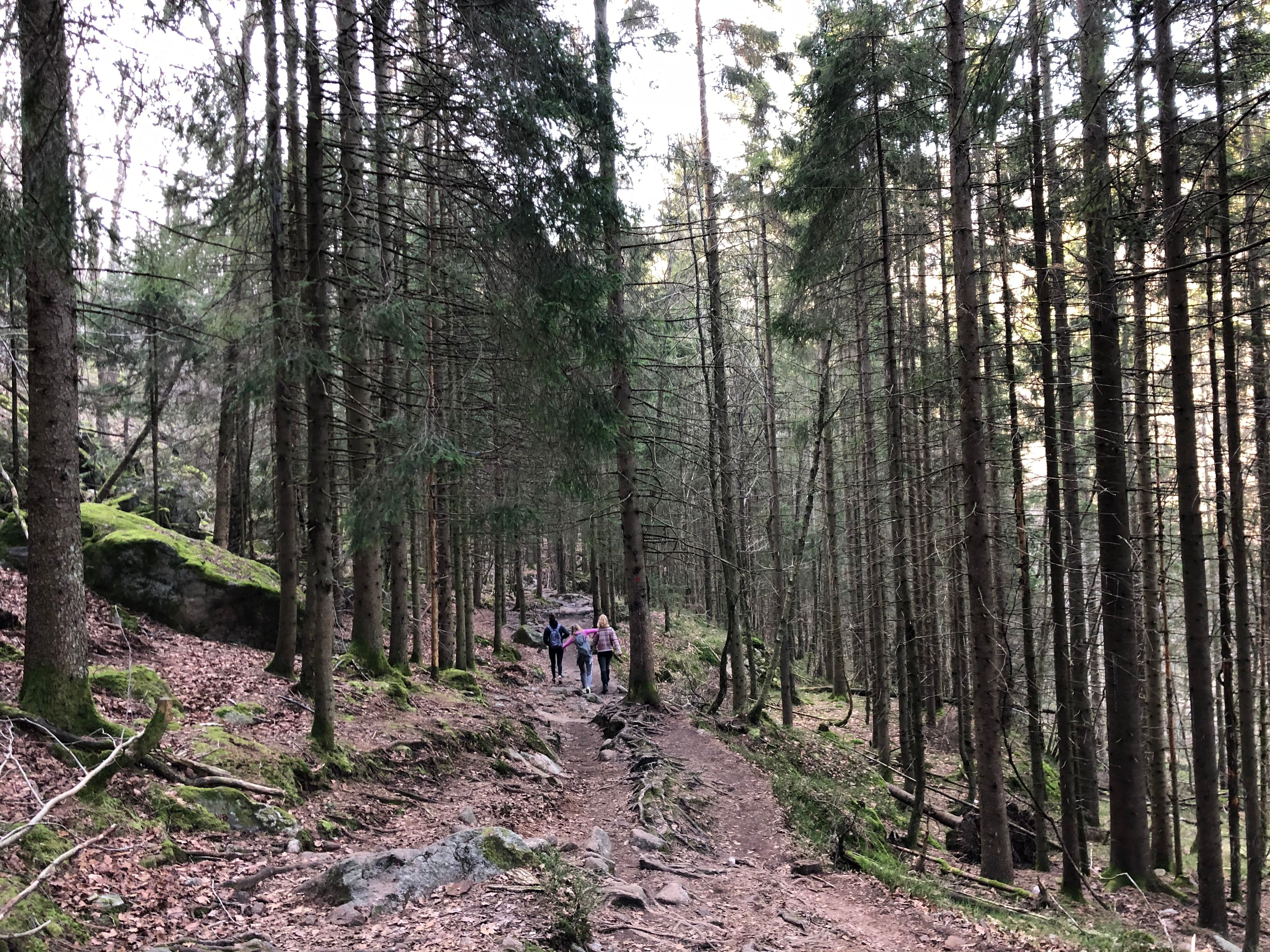 På vei til den omvendte båd