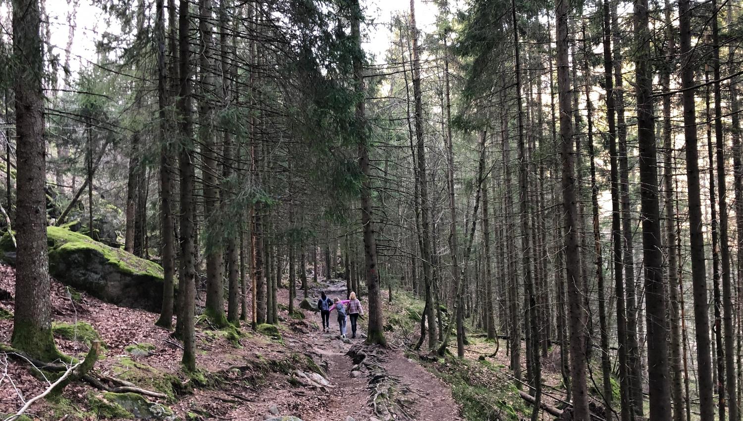 På vei til den omvendte båd