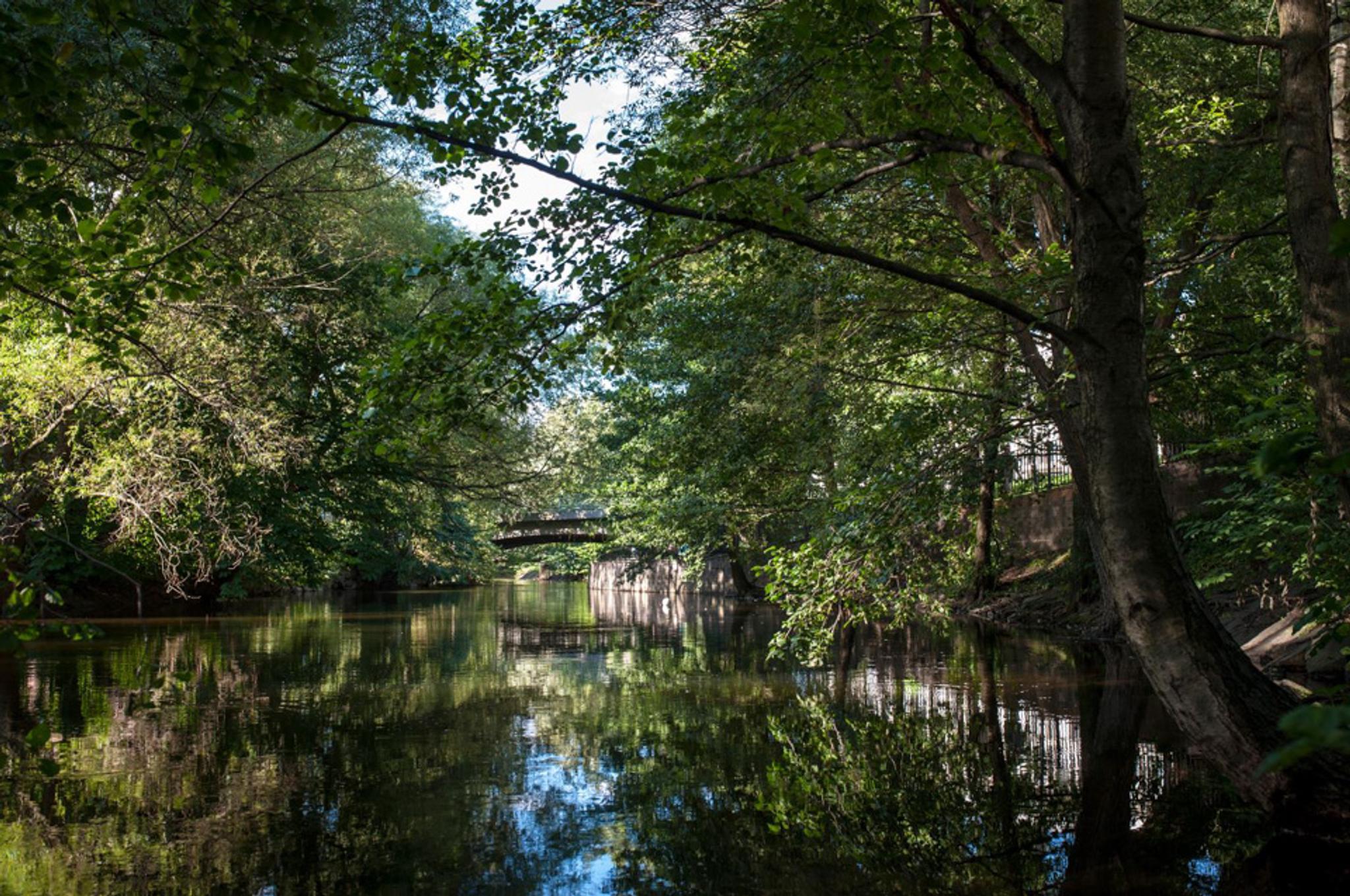 Vår/sommerbilde av Akerselva med masse trær.