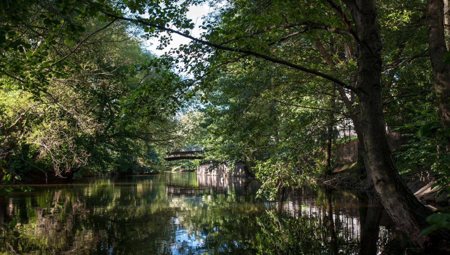 Vår/sommerbilde av Akerselva med masse trær.