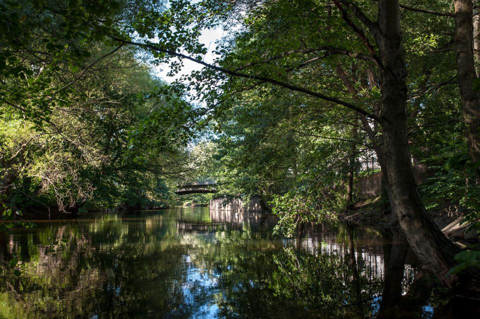 Spring/summer photo of Aker river with lots of trees.