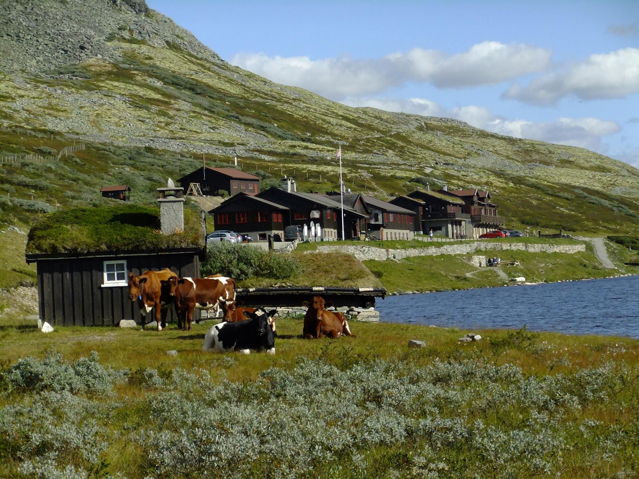Smuksjøseter Lodge