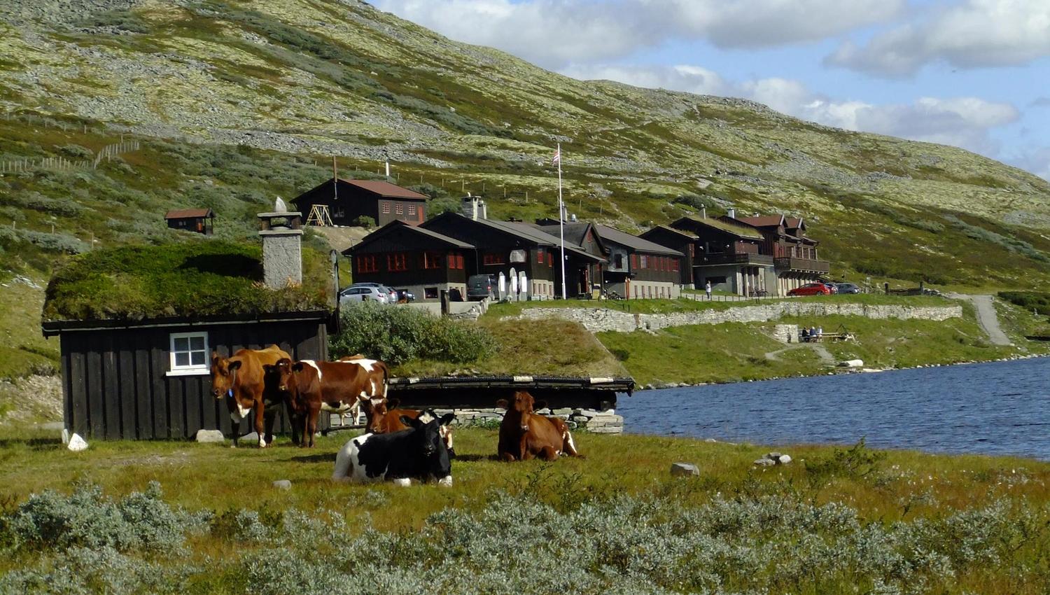 Smuksjøseter Lodge