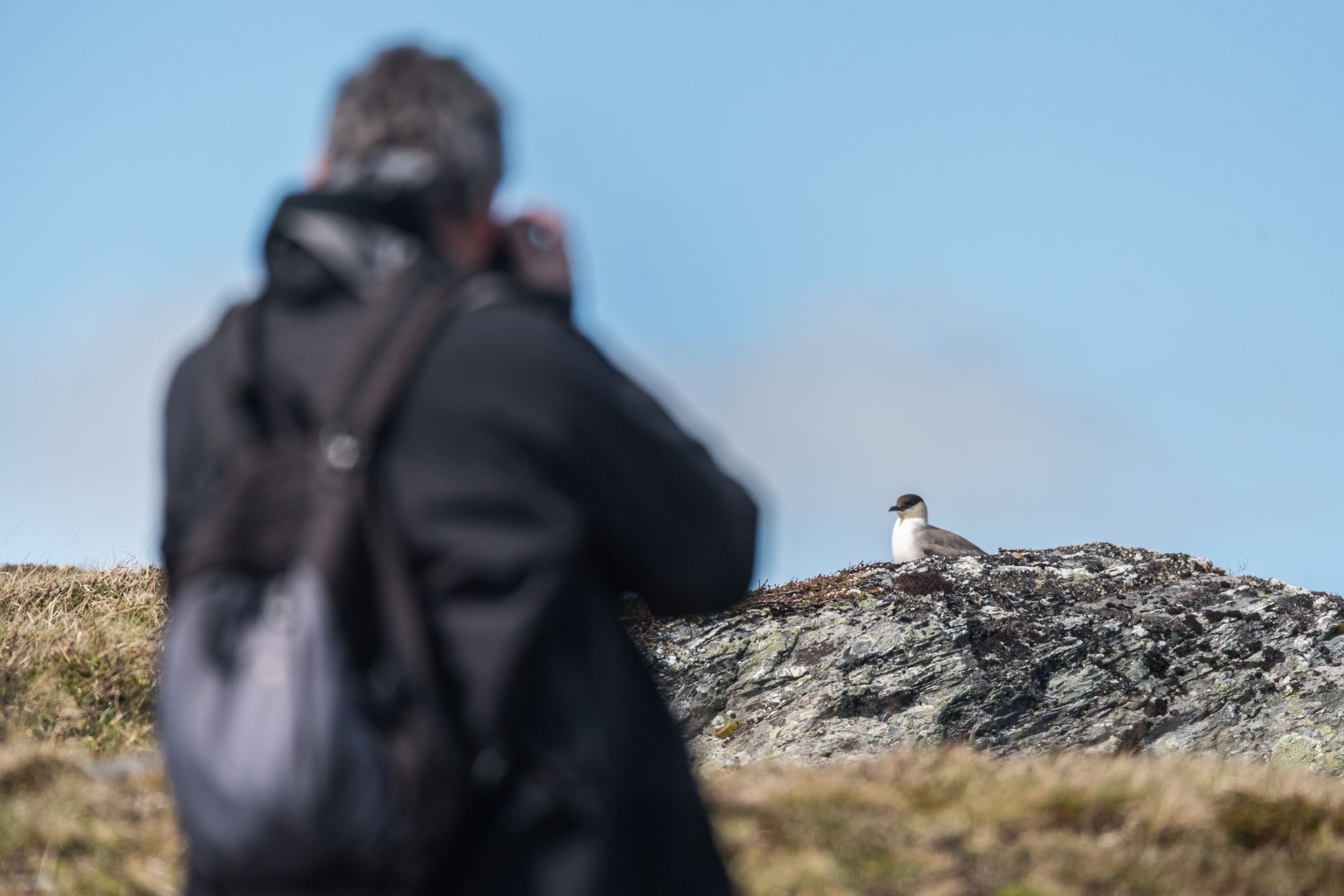 Bird watching with guide