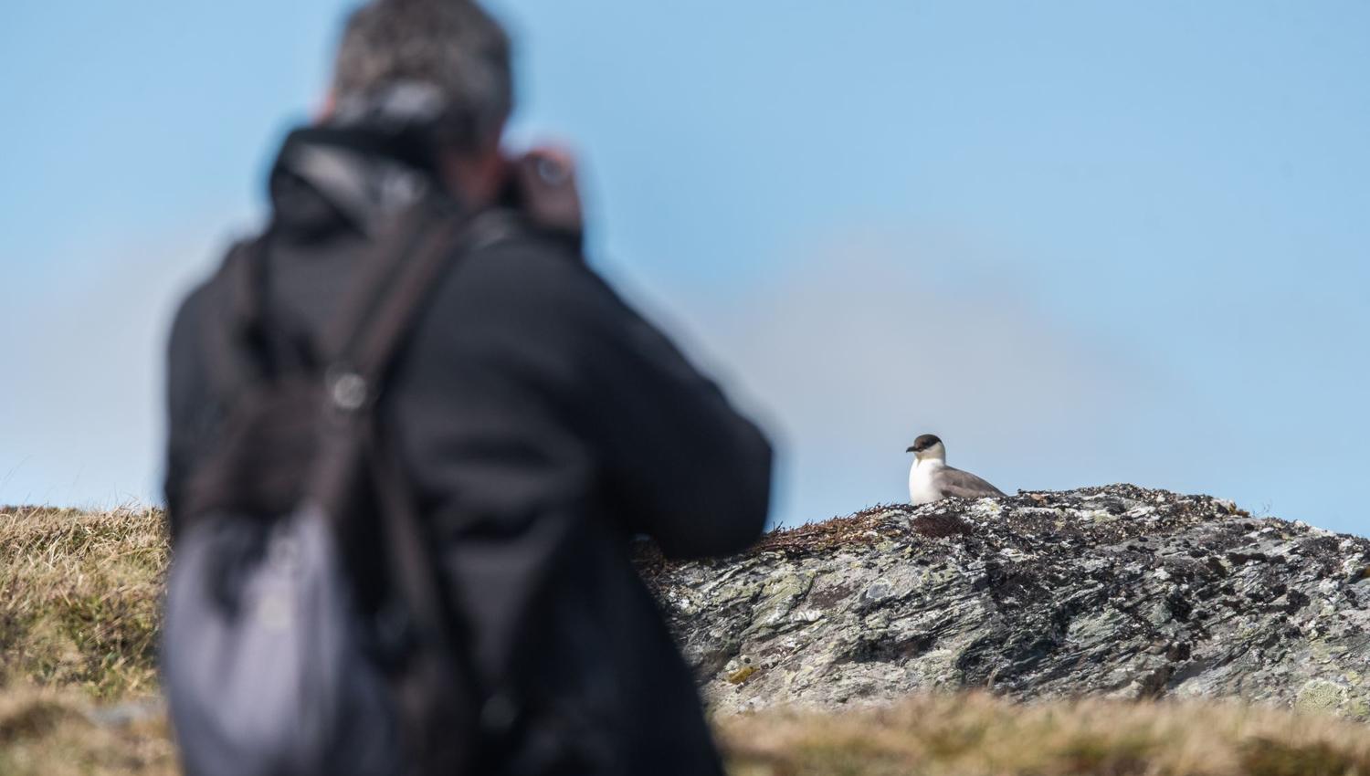 Bird watching with guide
