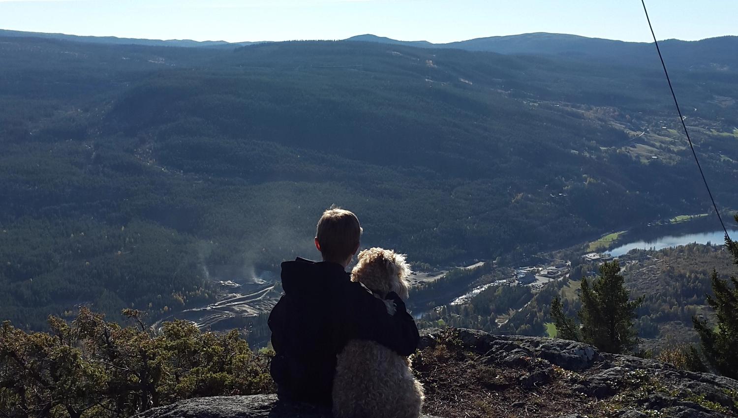 Utsikt frå Sehlsberget