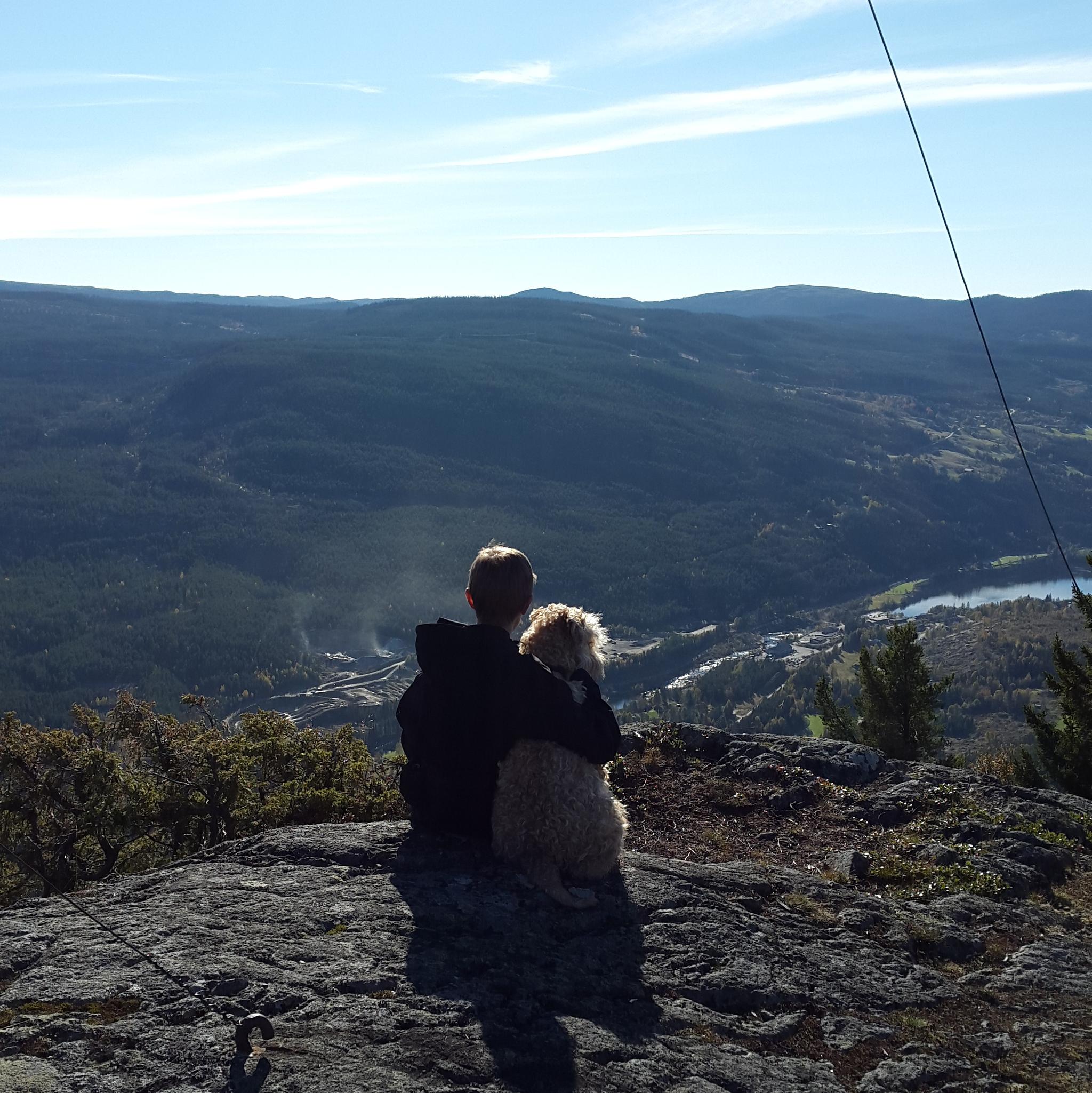 Utsikt frå Sehlsberget