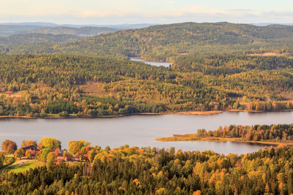 Fugleperspektiv over Bogstadvannet og tilhørende skog.