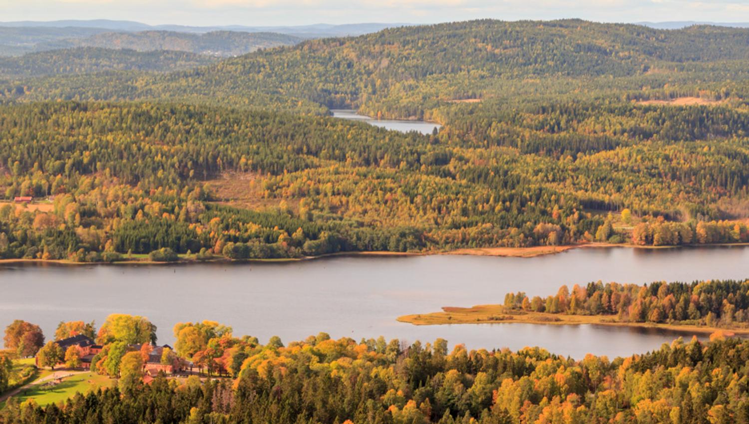 Fugleperspektiv over Bogstadvannet og tilhørende skog.