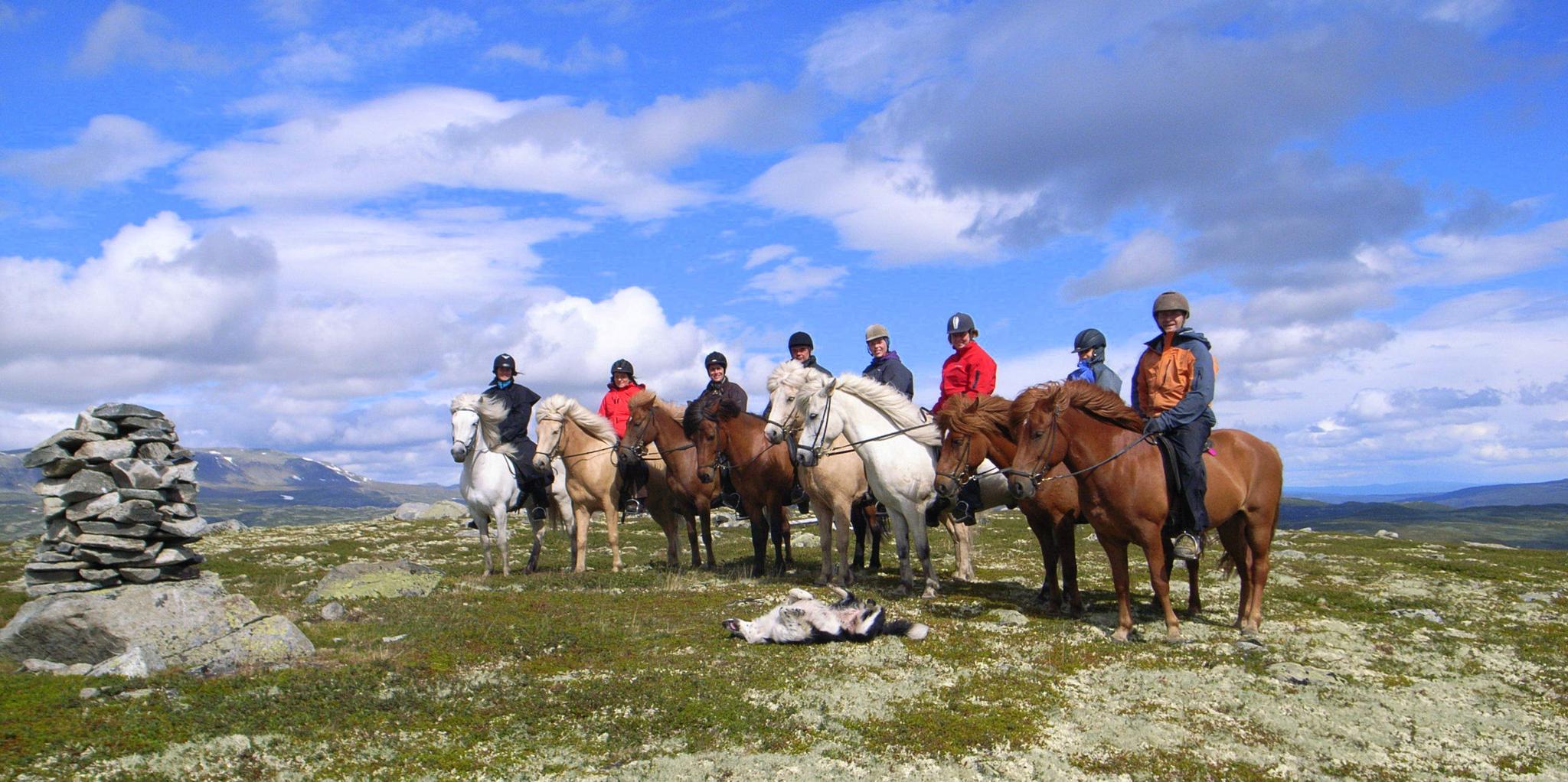 Skarslia-Ridning-Sommer-Ål