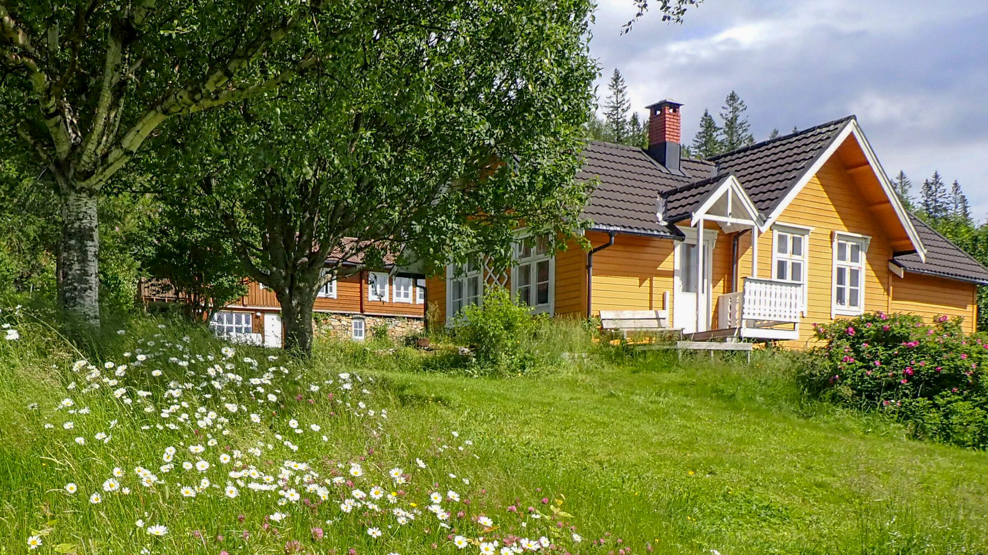 Hytta på Øksningsøya - Koselig feriested i Bindalsfjorden