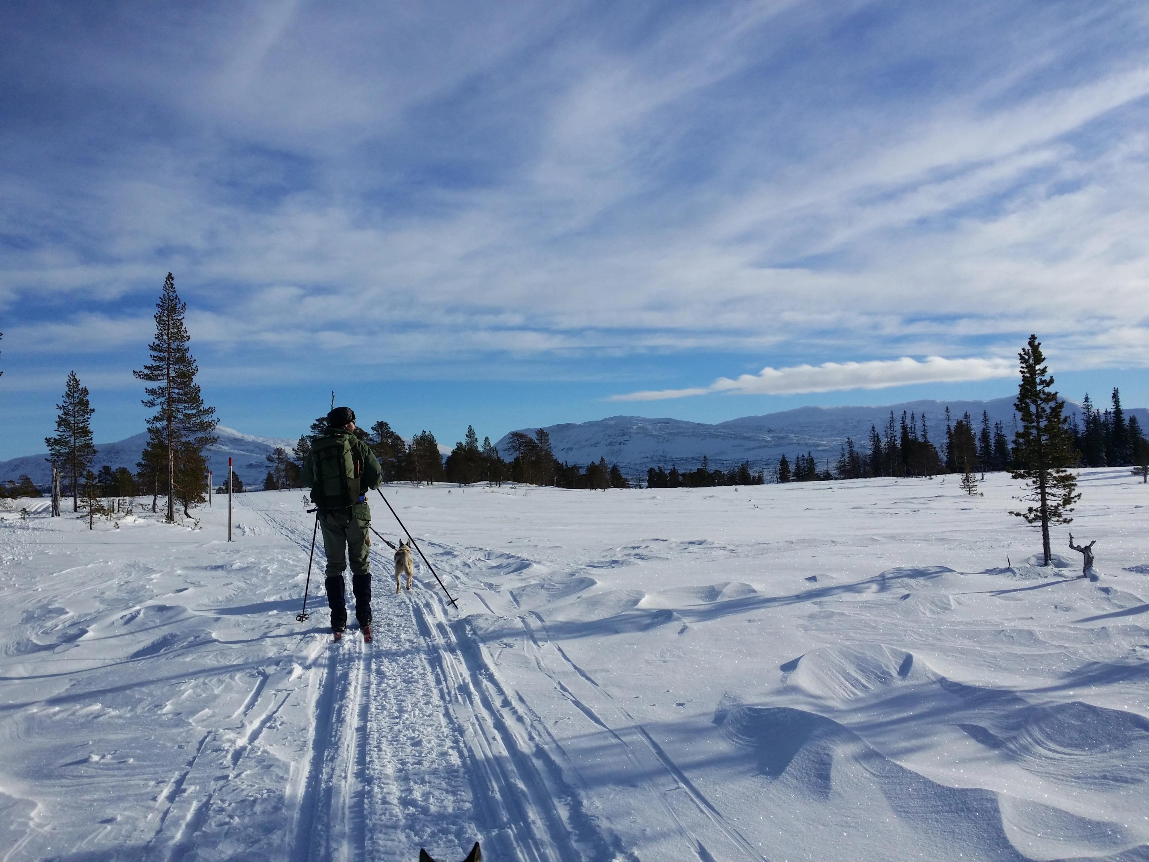 Skjækra - Norges geografiske midtpunkt