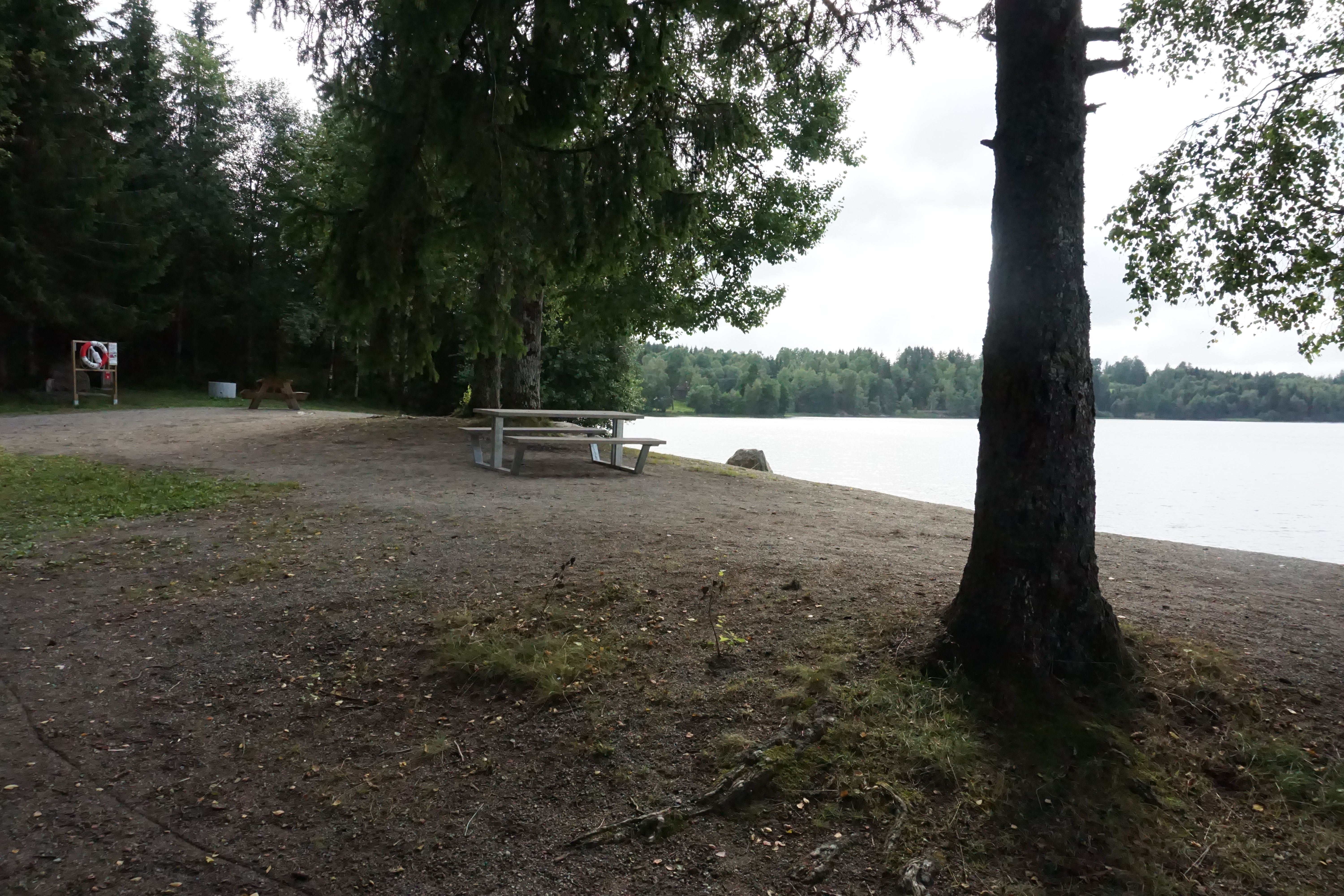 Tre og bord på strand
