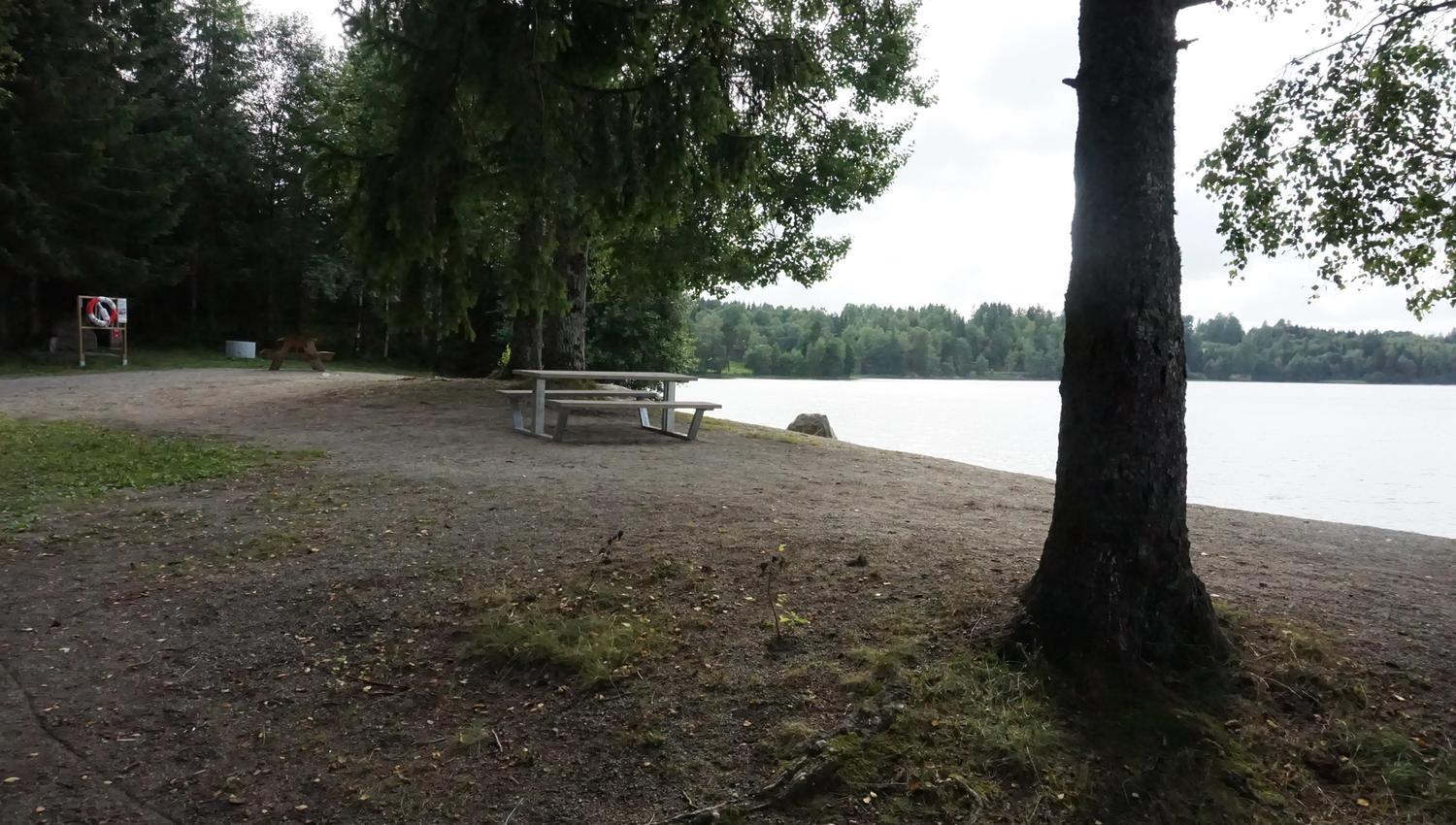 Tre og bord på strand