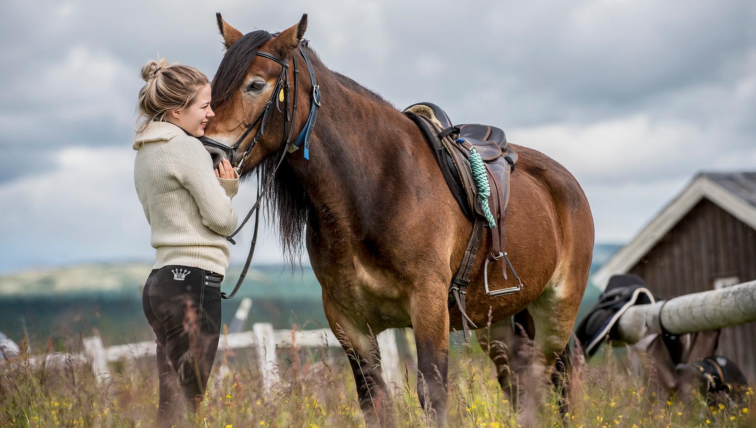 The Norwegian Dolehorse Anna and her rider enjoys eachothers company at the summerfarm