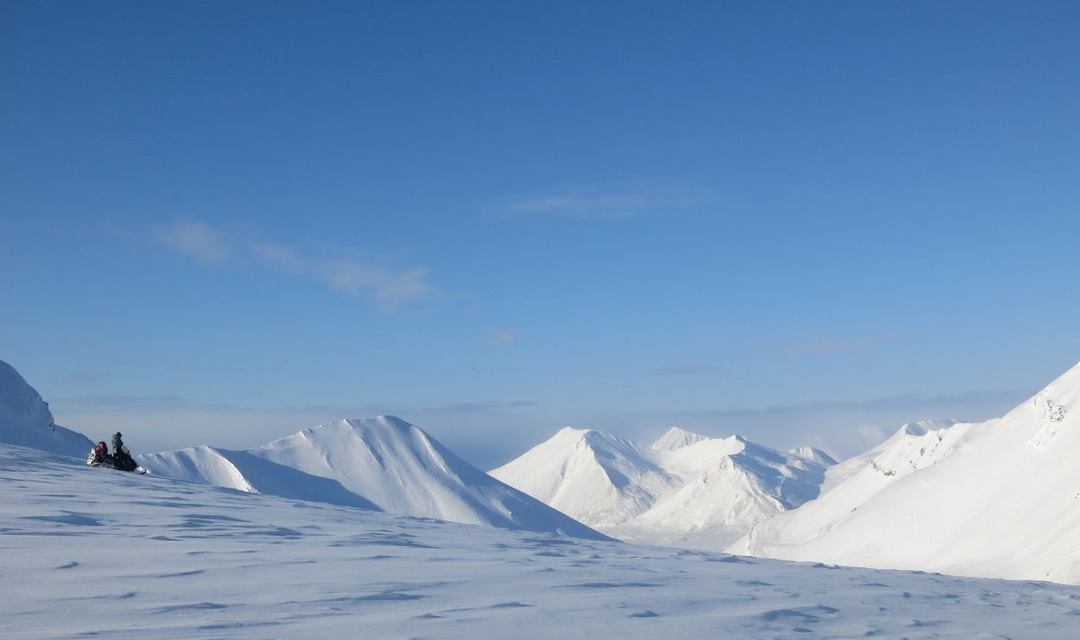 Person driving a snowmobile in the wilderness