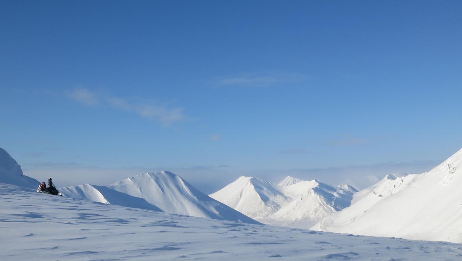 Person driving a snowmobile in the wilderness