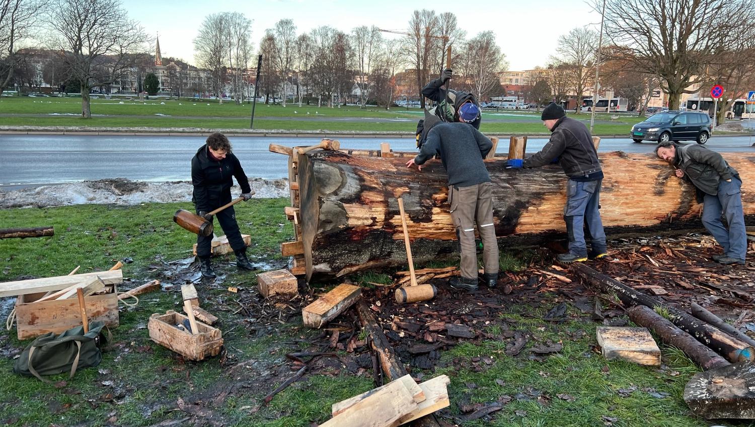 Store eiketrær skal bli vikingskip