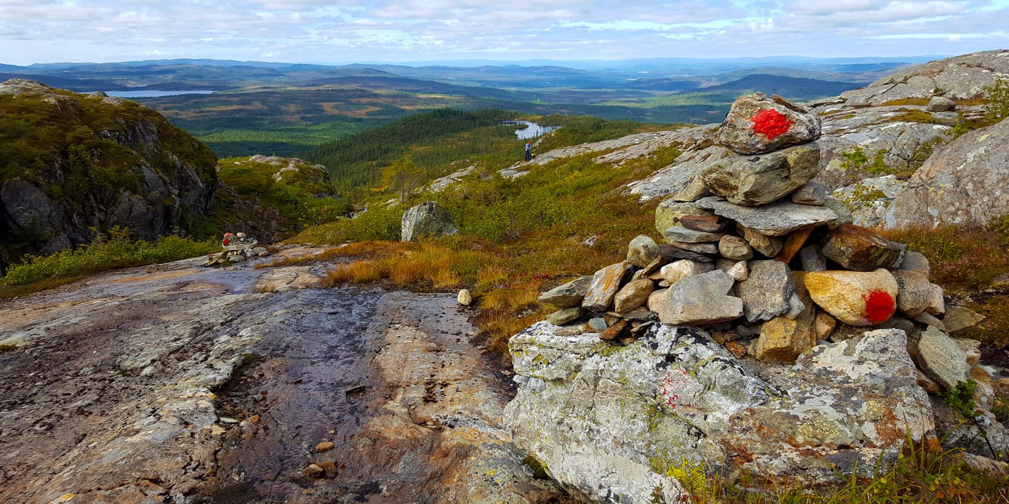 Skjækra---landskapet-ved-Mokk-Gård-2x1