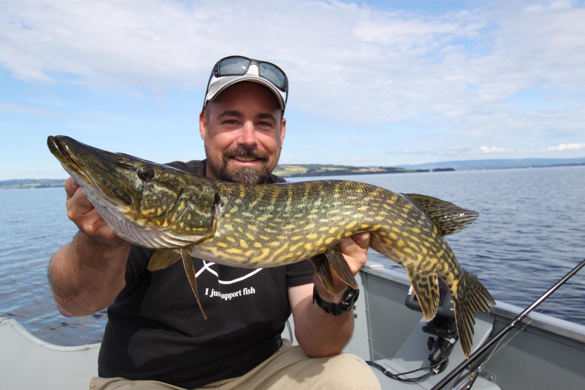 Storfangst fra Mjøsa