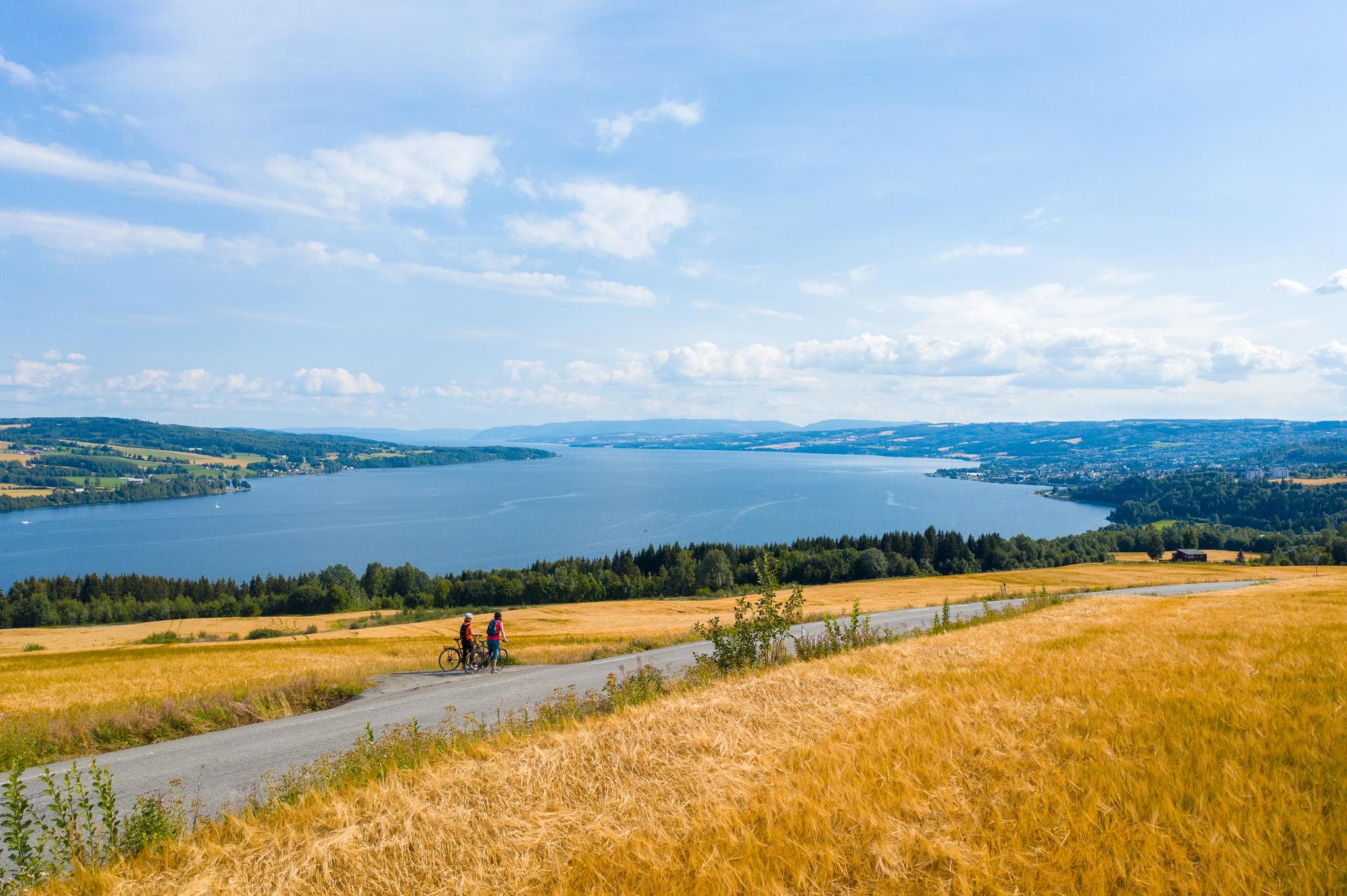 Mjøstråkk, sykkeltur rundt Mjøsa, dronebilde med utsikt over Mjøsa. Innlandet