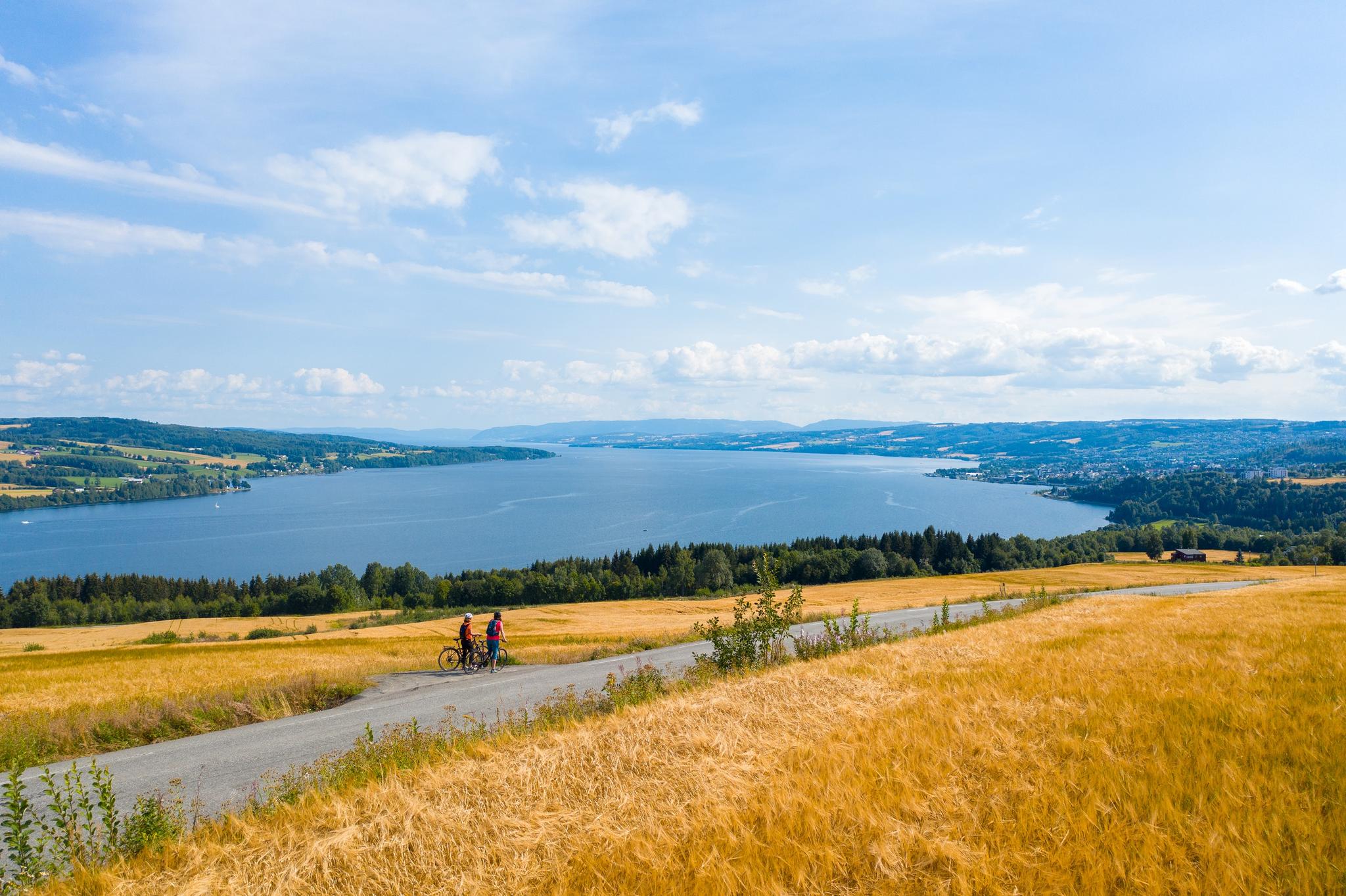 Mjøstråkk, sykkeltur rundt Mjøsa, dronebilde med utsikt over Mjøsa. Innlandet