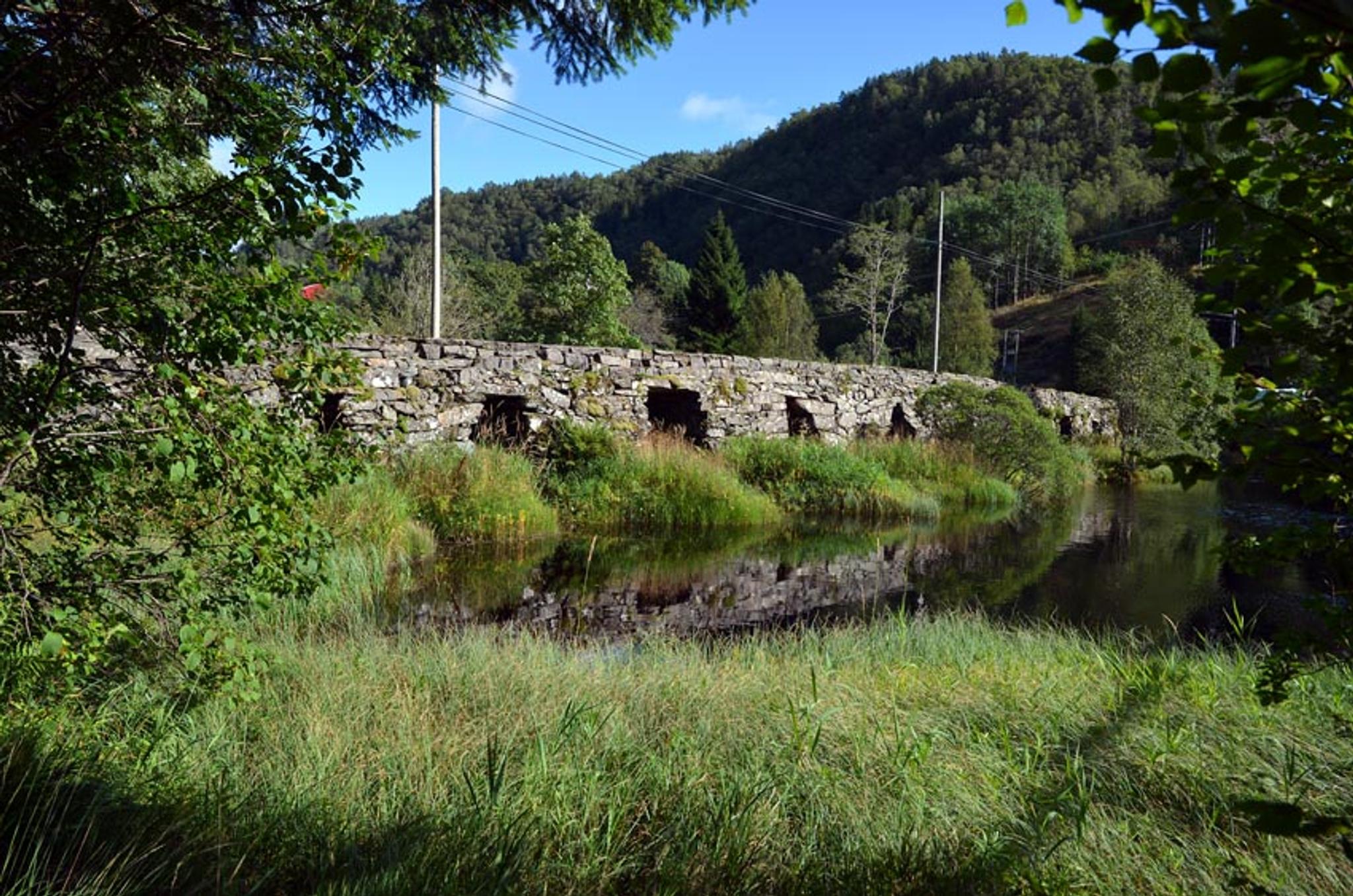 Den Trondhjemske Postveg