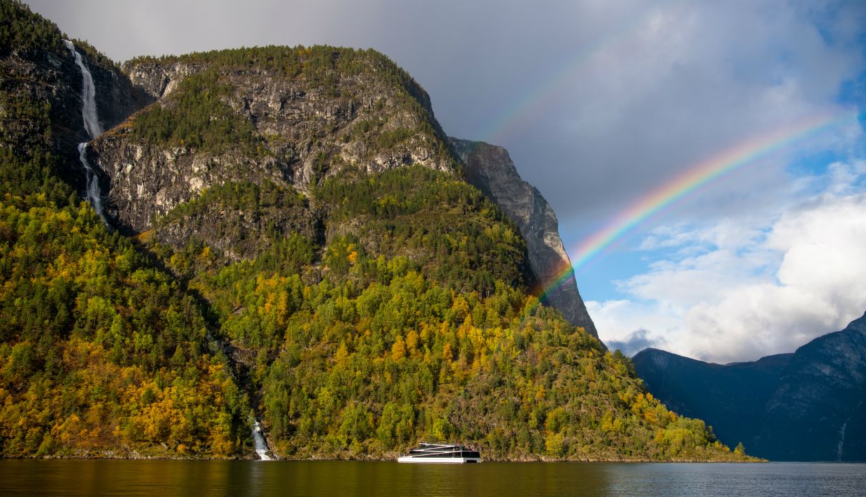 Fjord Cruise Nærøyfjord