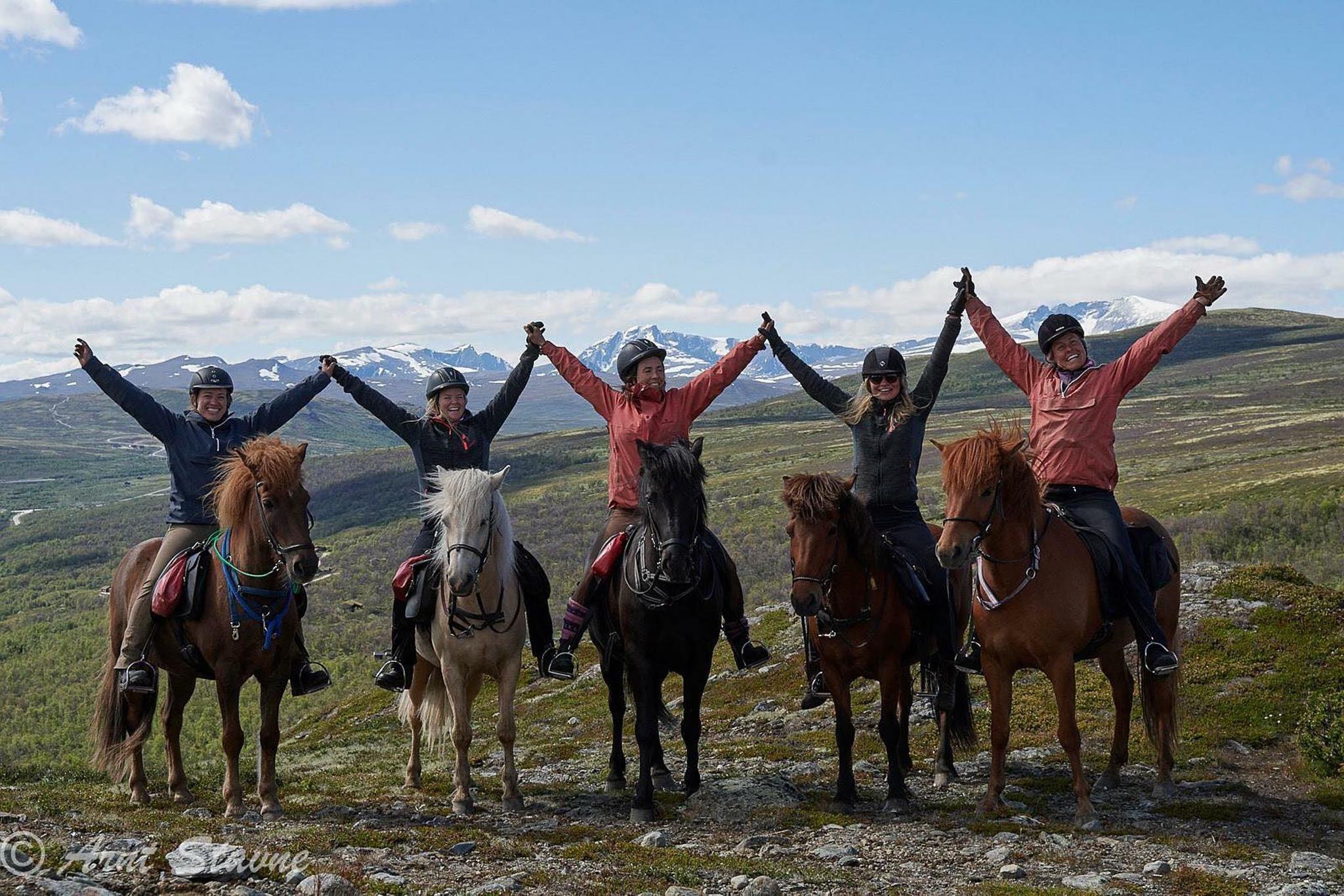 Horseback riding at the Dovrefjell plateau
