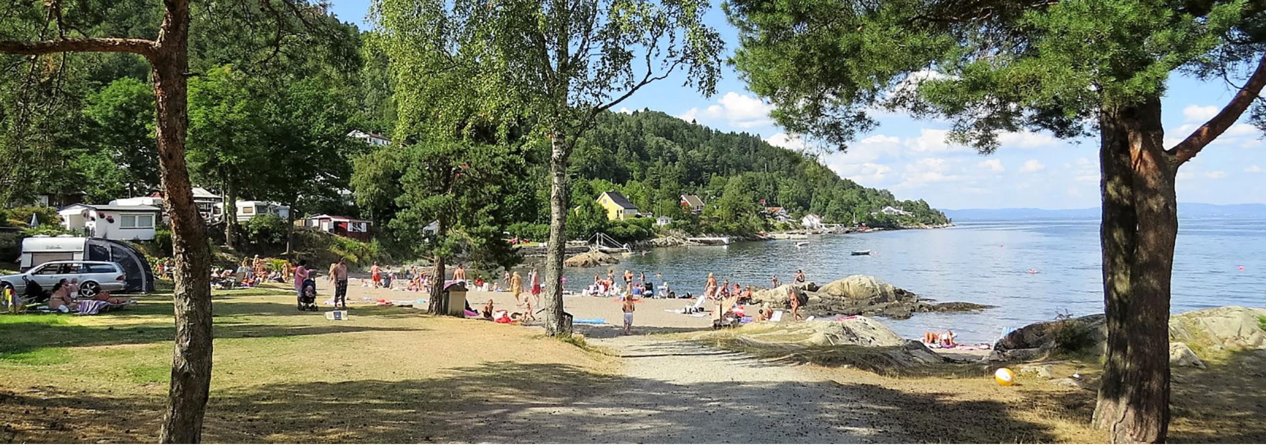 Bilde over standen