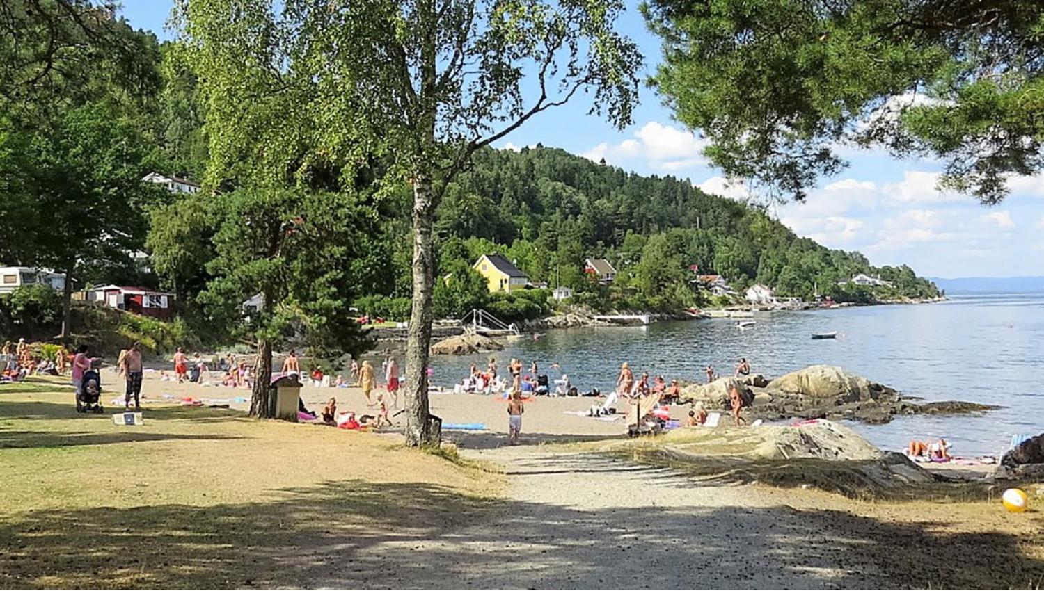 Bilde over standen