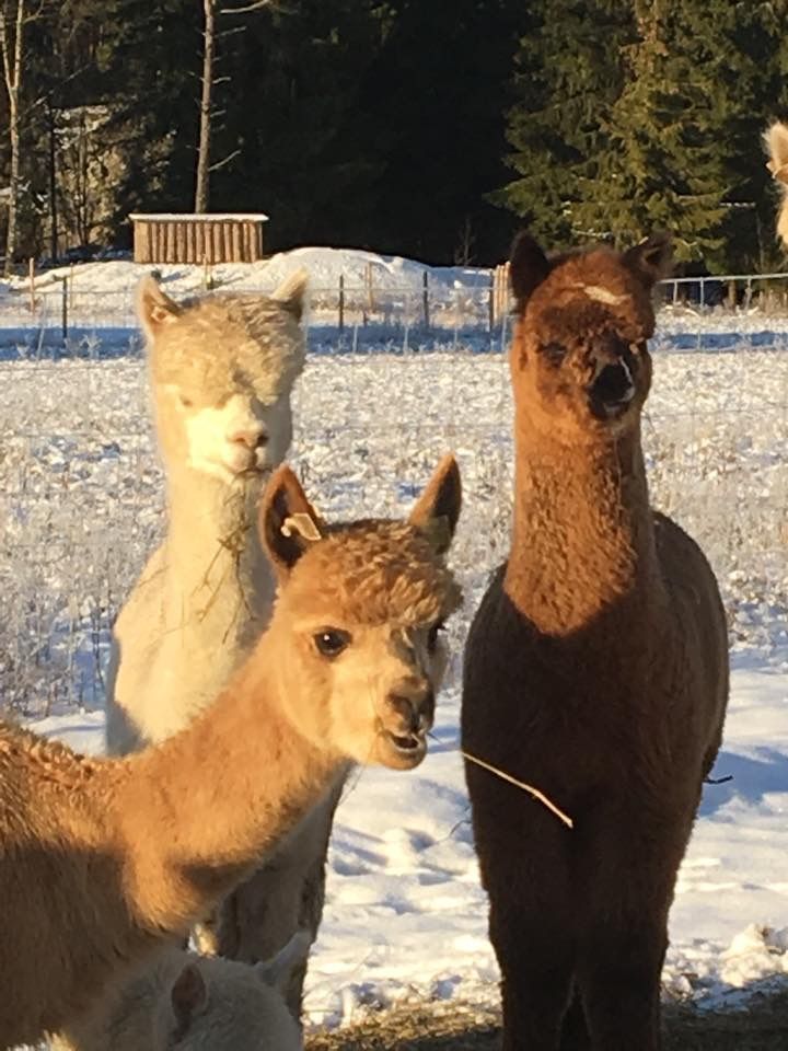 20200129_141130510_iOS