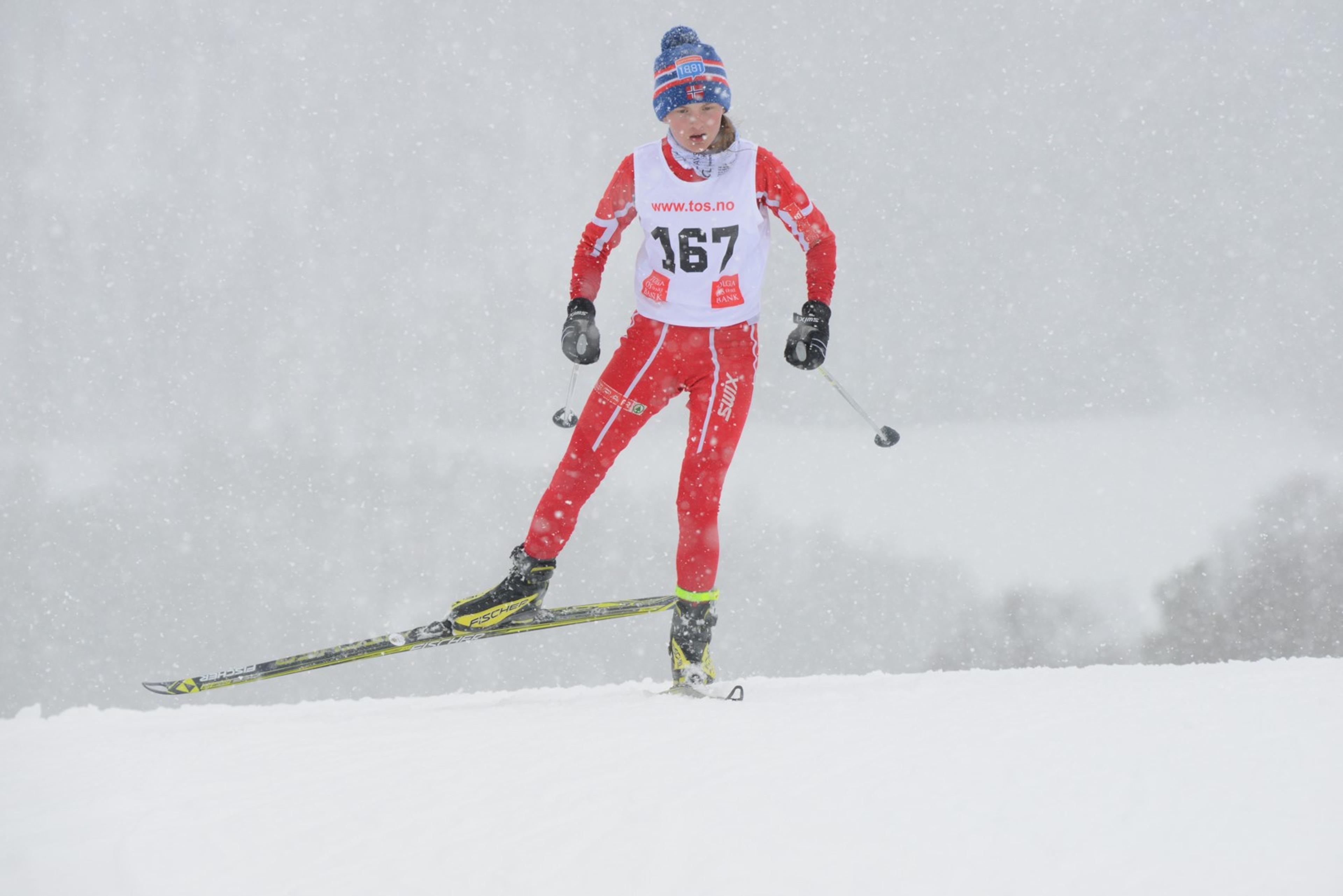 Hummelfjell TOS Arena
