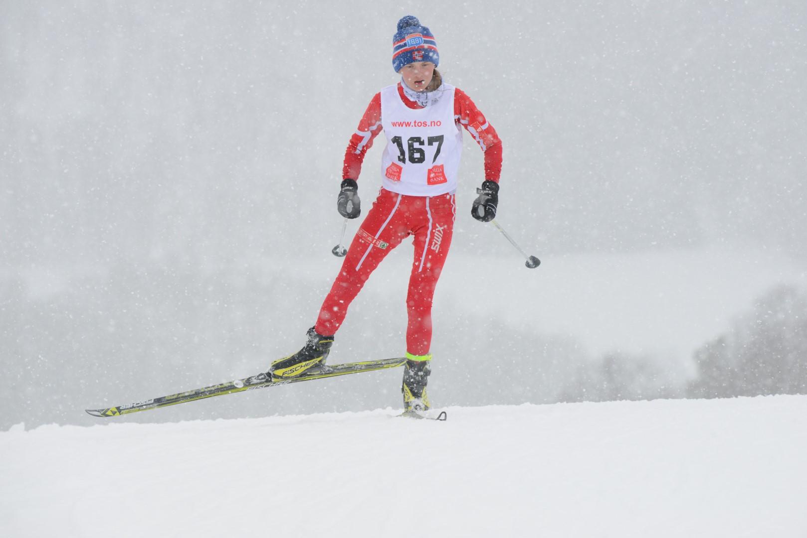 Hummelfjell TOS Arena
