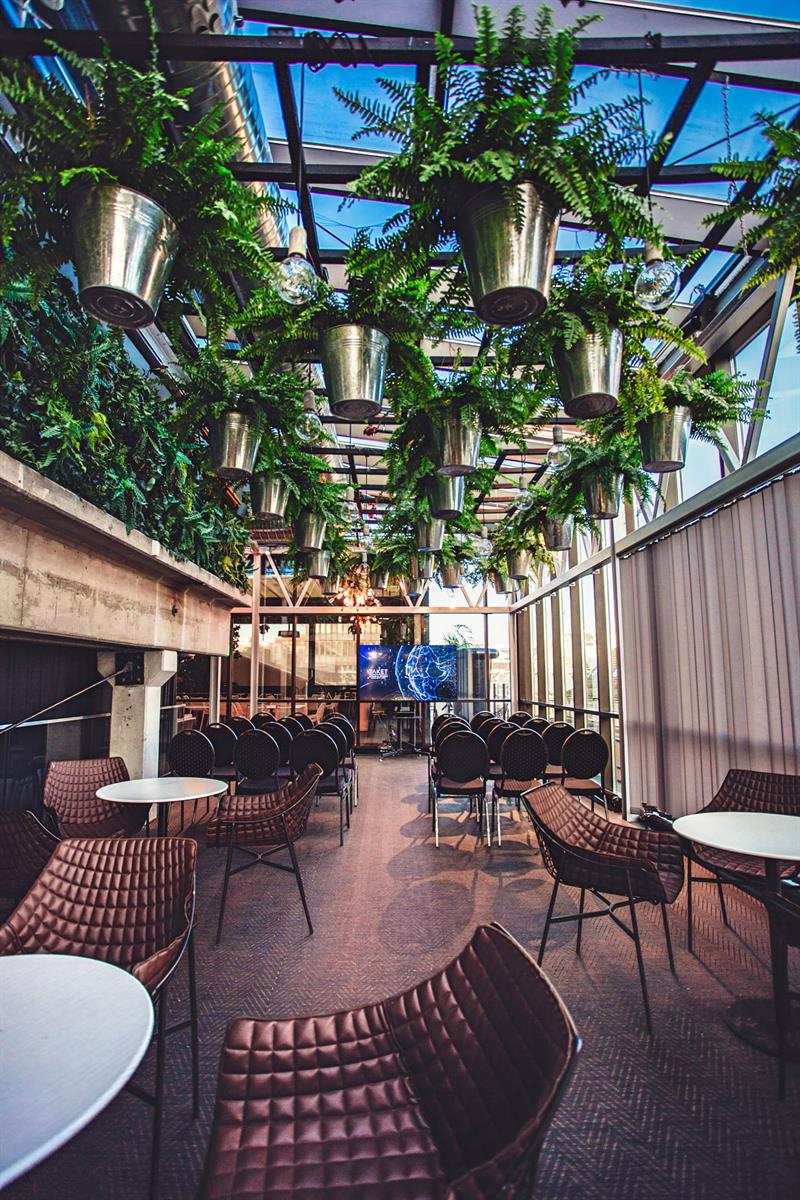 dekorasjon med mange planter