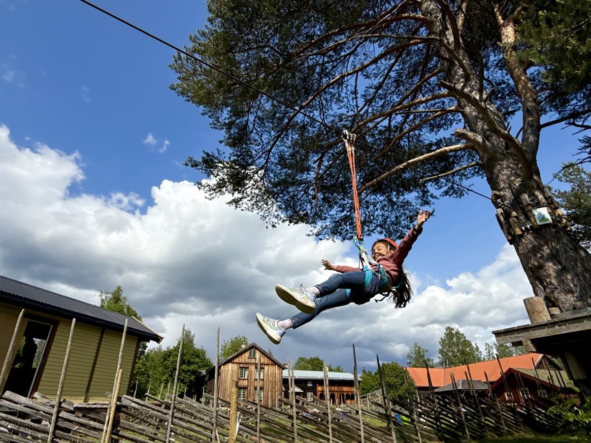 A participant swinging high in the air in an aerial swing activity between the trees.