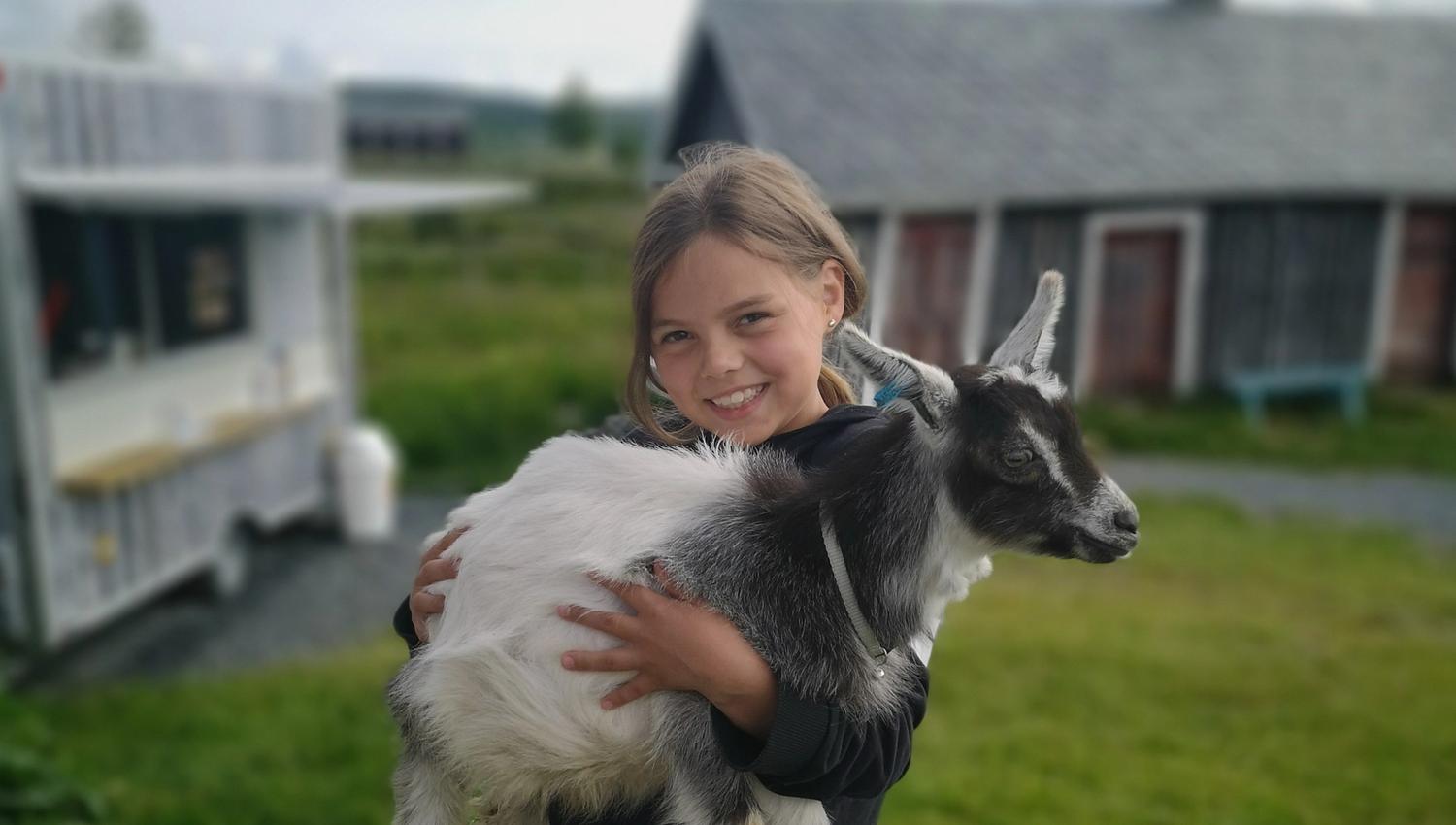 Jente som holder en geit på Lisjordetstølen.