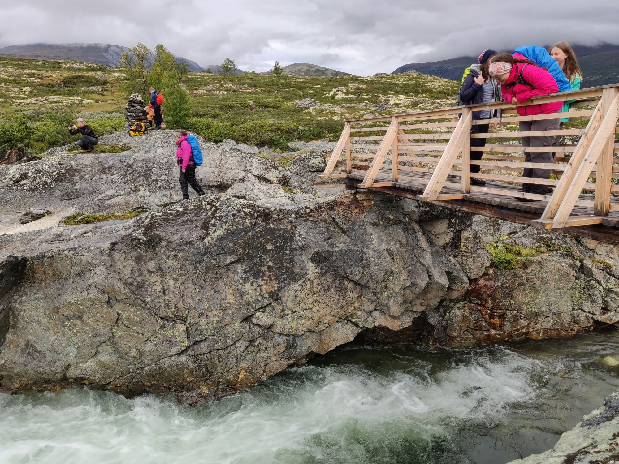 Moskussafari