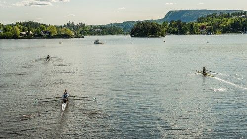 Kalvøya, strand, sandstrand, utegrill, badebrygge, sjø, gressplen, svømme, bade, barn, robåter, roklubb, båt, liv på sjøen, Kadettangen