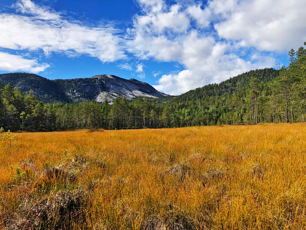 Utsikt-frå-Stemmyr_CAasheim_web