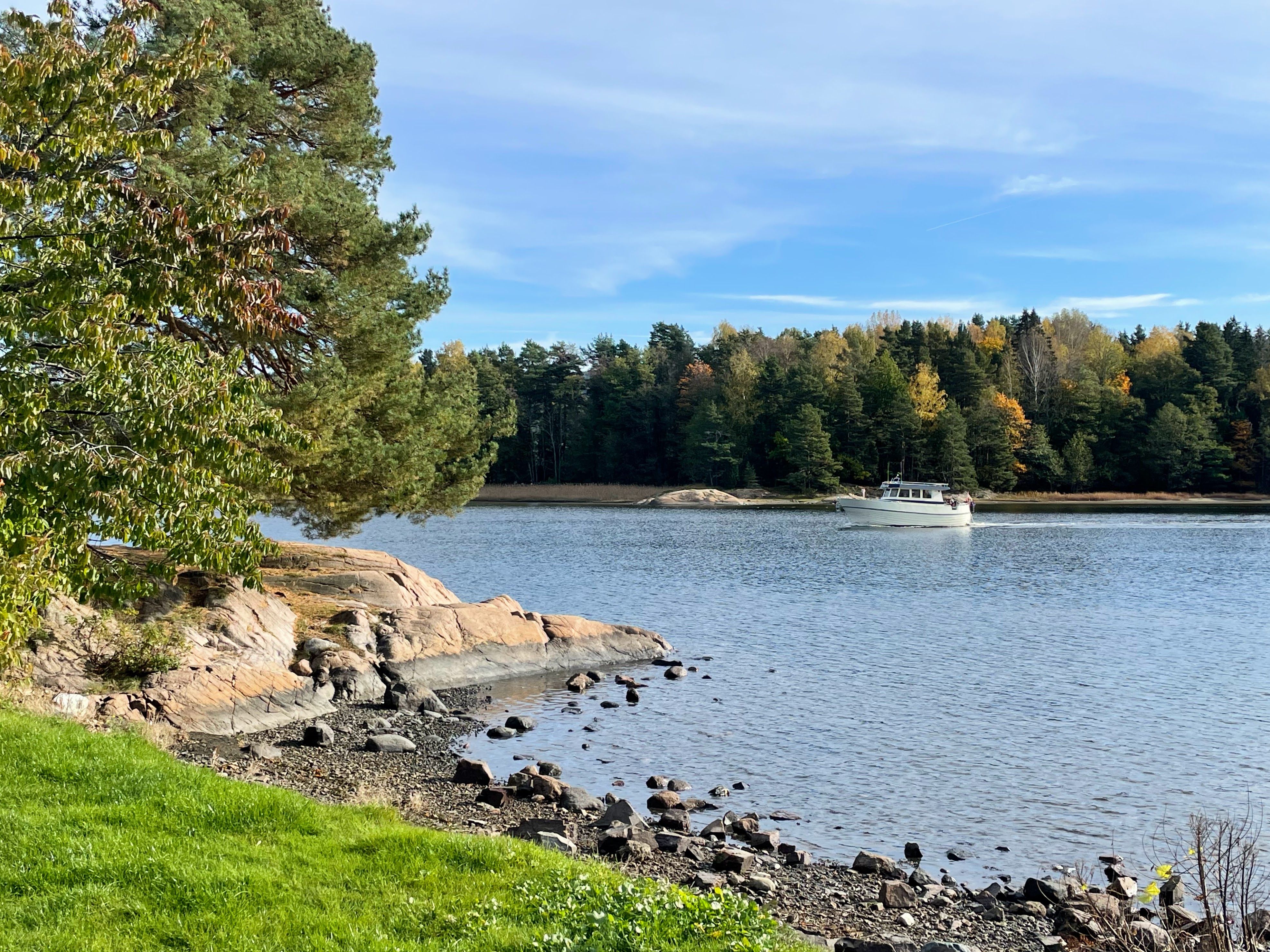 Skogsborg strand og sjø