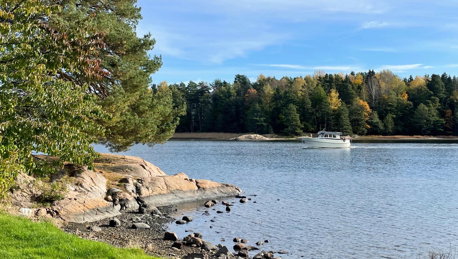 Skogsborg strand og sjø