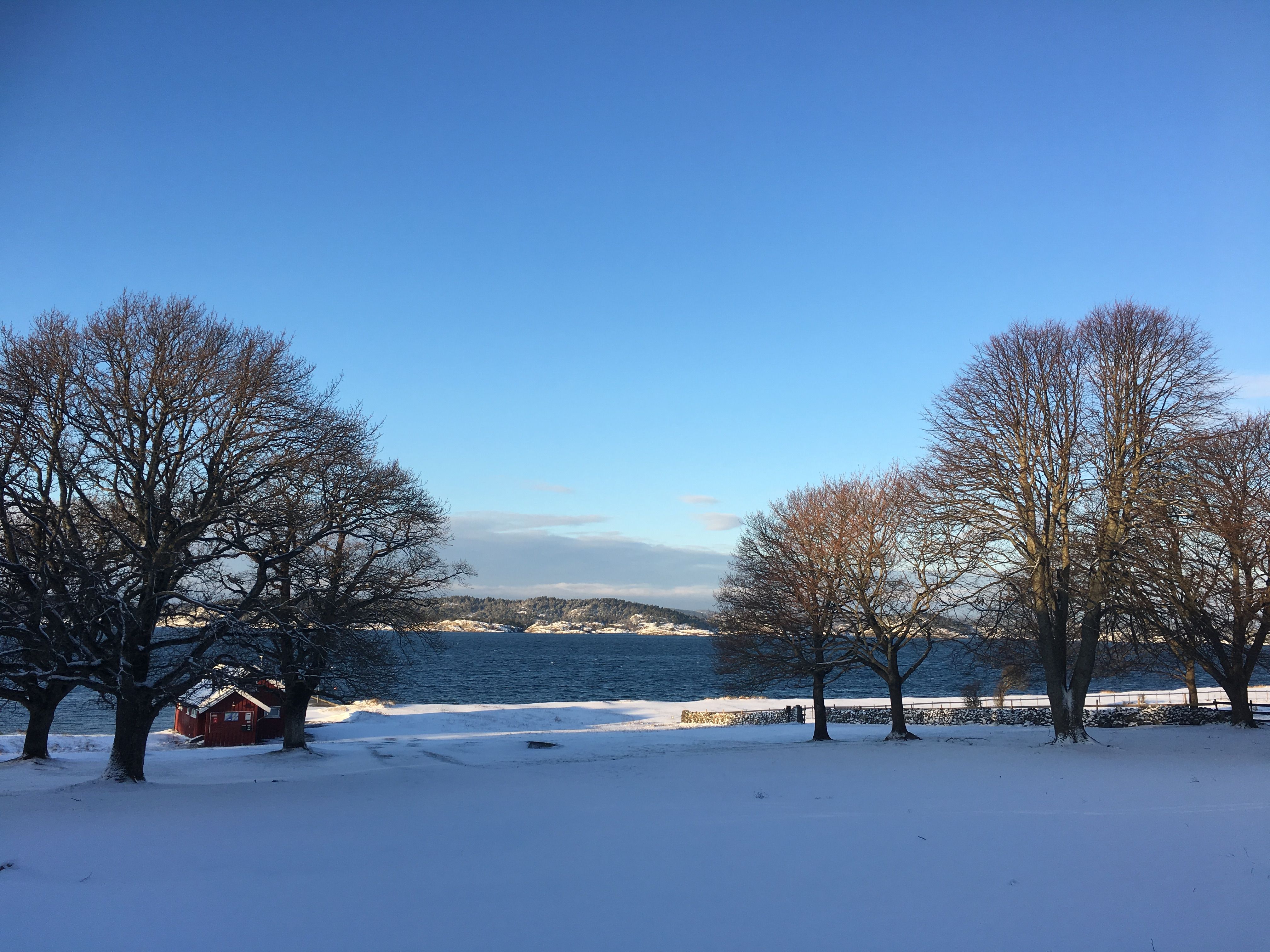 snøsutsikt 2