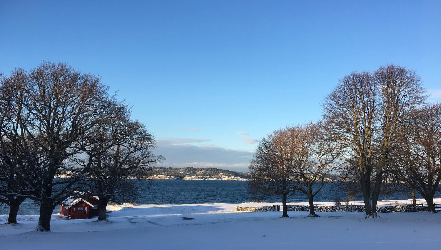 snøsutsikt 2