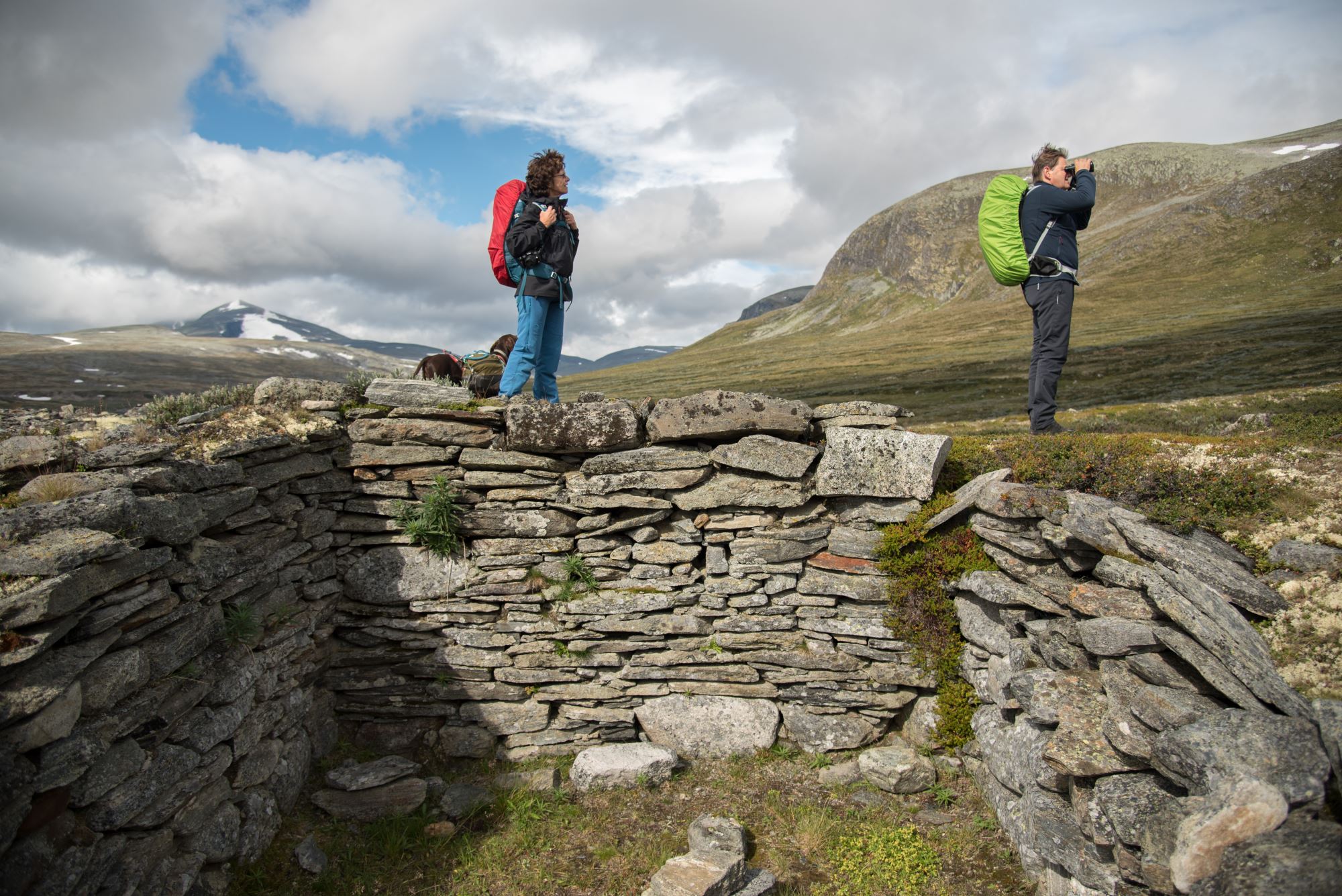 Moskussafari m/personlig guide, 2 dager