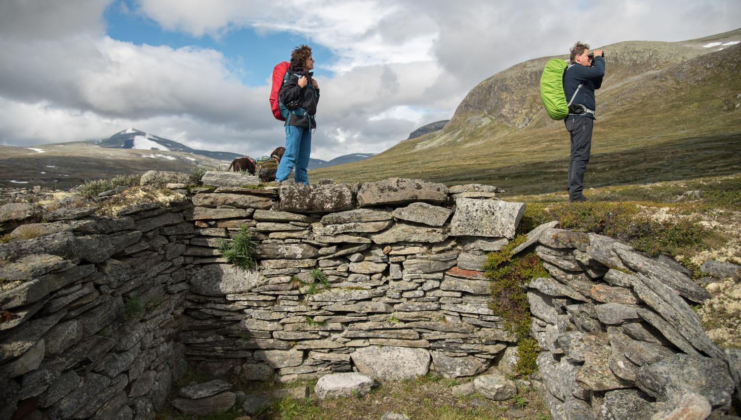 Moskussafari m/personlig guide, 2 dager