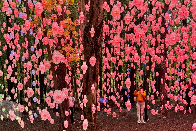 Nordic Pixel Forest in the Ekeberg park - a forest of string lights