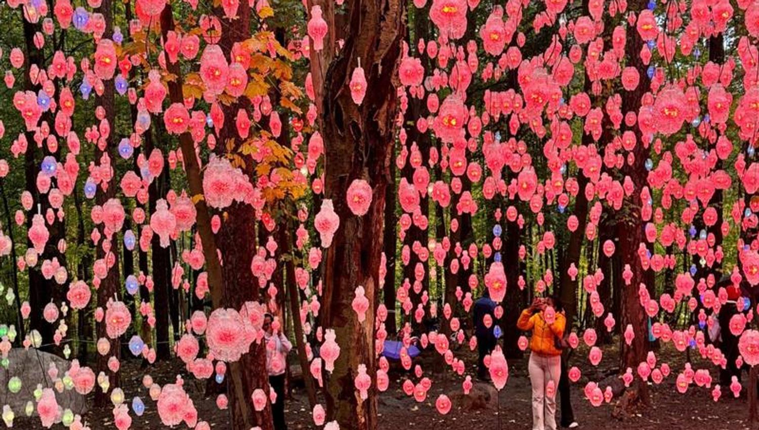 Nordic Pixel Forest in the Ekeberg park - a forest of string lights